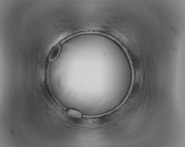 X0000113261165200910081333