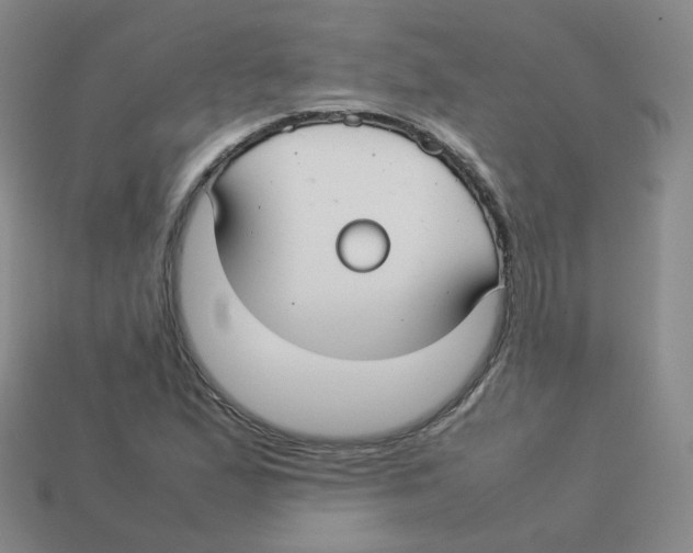 X0000113261167200910081333