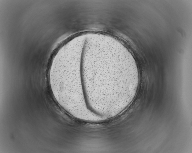 X0000113261168200910081333