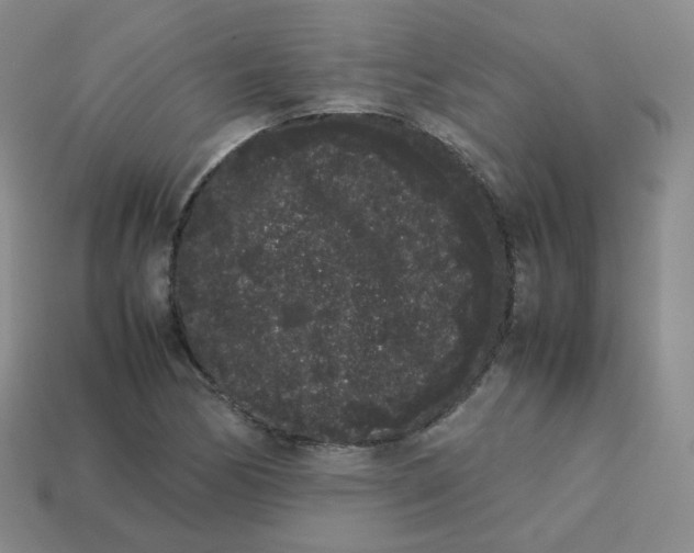 X0000113261170200910081333