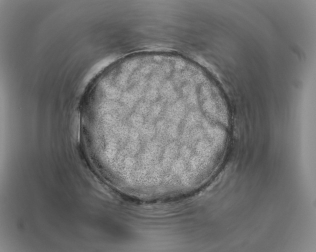 X0000113261171200910081333