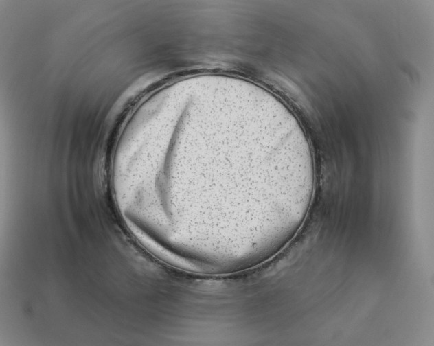X0000113261172200910081333