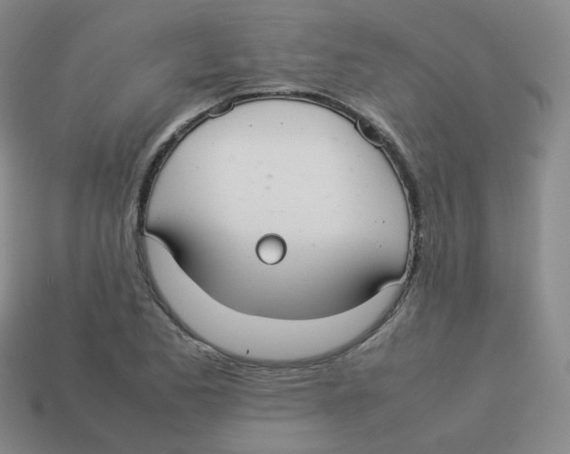 X0000113261173200910081333