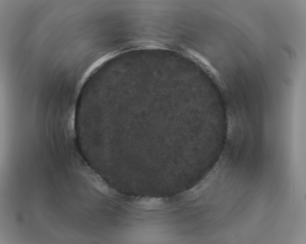 X0000113261174200910081333