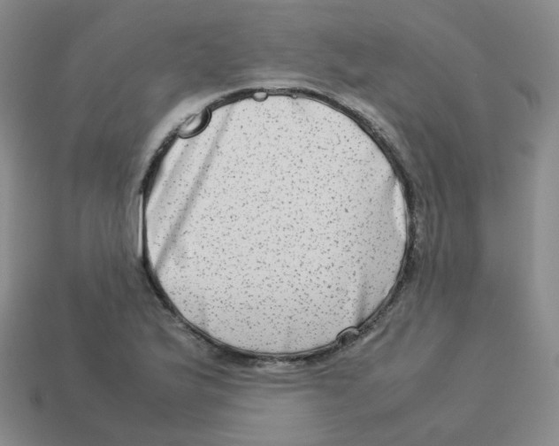 X0000113261175200910081333