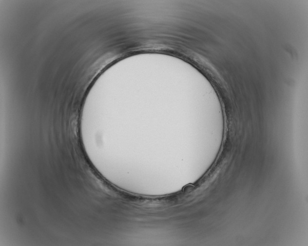 X0000113261177200910081333