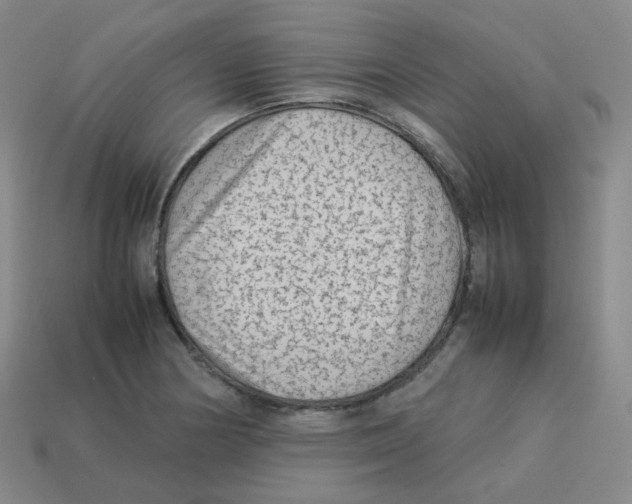 X0000113261178200910081333