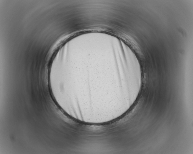 X0000113261180200910081333