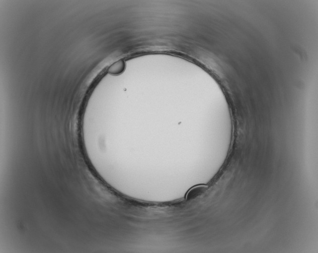 X0000113261181200910081333