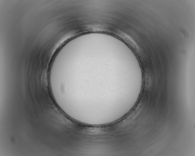 X0000113261182200910081333