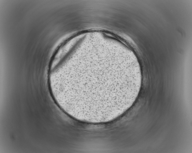 X0000113261183200910081333