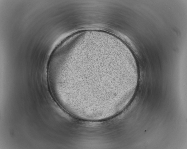 X0000113261184200910081333