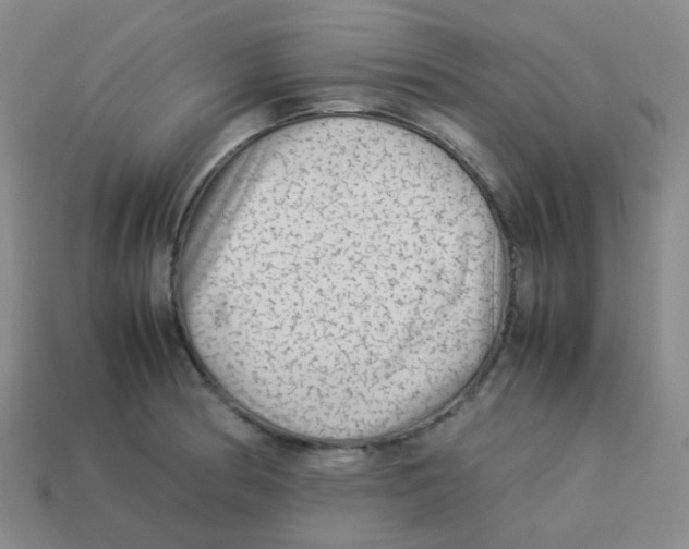 X0000113261186200910081333
