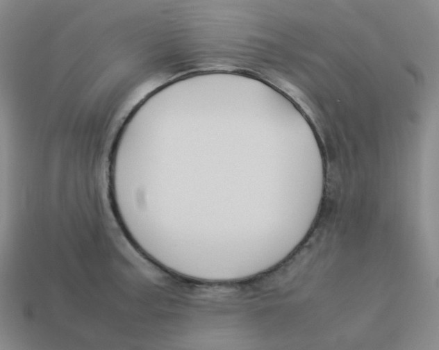 X0000113261187200910081333