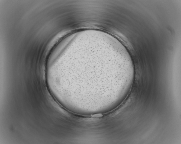 X0000113261188200910081333