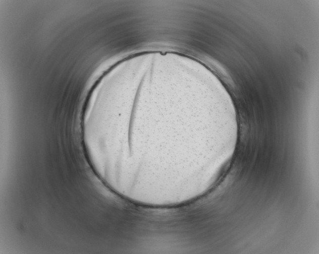 X0000113261192200910081333