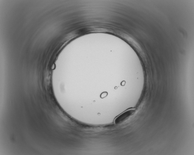 X0000113261193200910081333