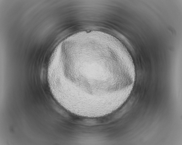 X0000113261194200910081333
