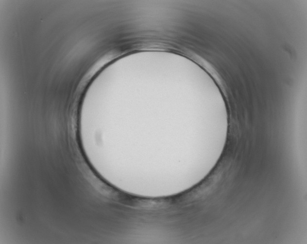 X0000113261195200910081333