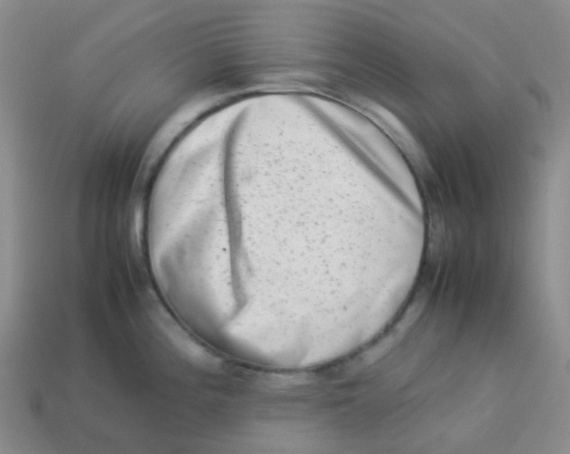 X0000113261196200910081333