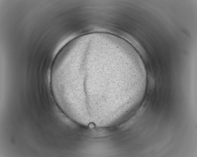 X0000113261198200910081333