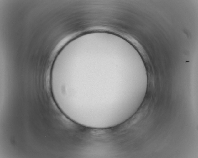 X0000113261199200910081333