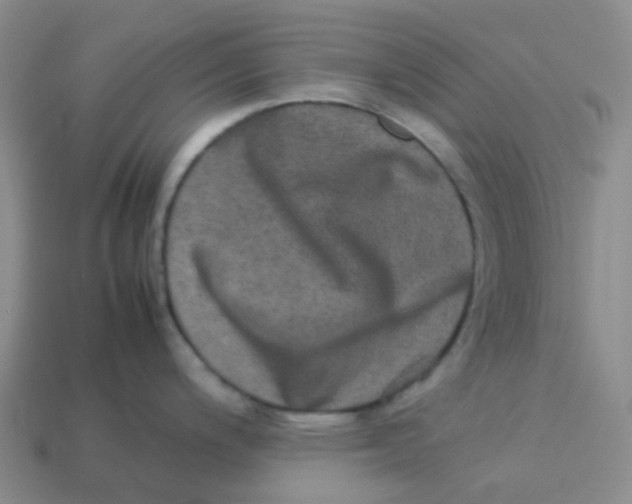 X0000113261200200910081333