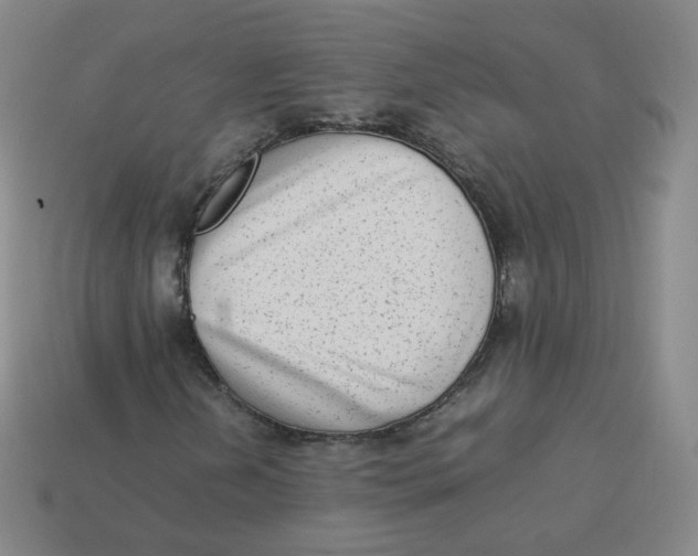 X0000113261202200910081332