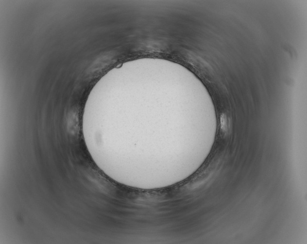 X0000113261203200910081332