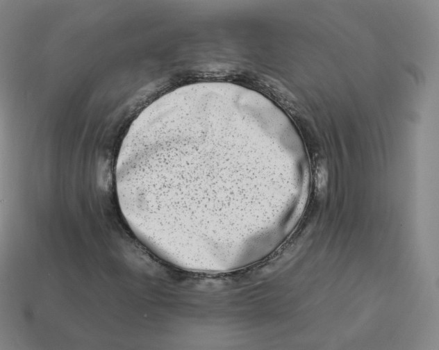 X0000113261204200910081332