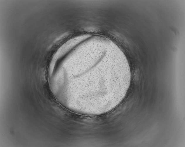 X0000113261205200910081332