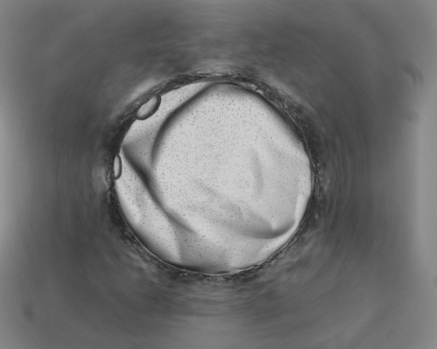 X0000113261206200910081332