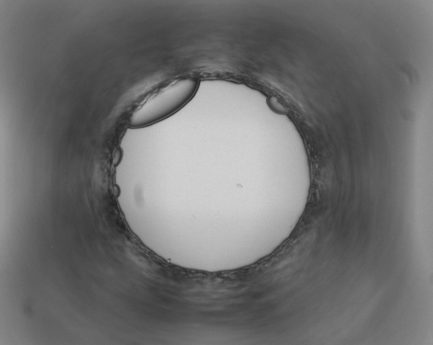X0000113261207200910081332