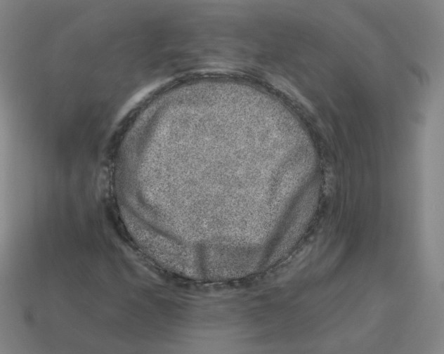 X0000113261208200910081332