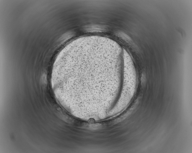 X0000113261209200910081332
