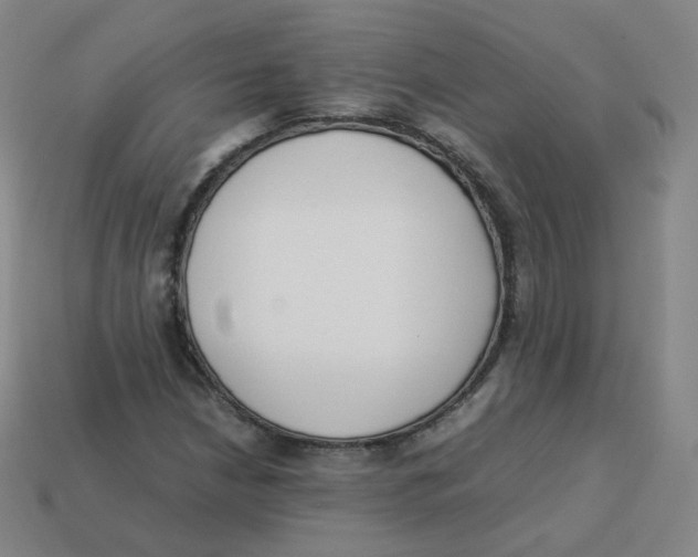 X0000113261210200910081332