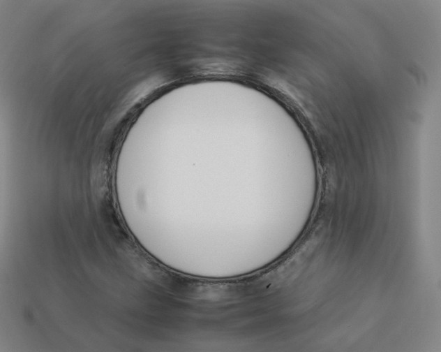 X0000113261211200910081332