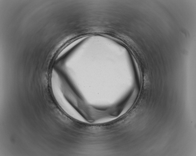 X0000113261212200910081332
