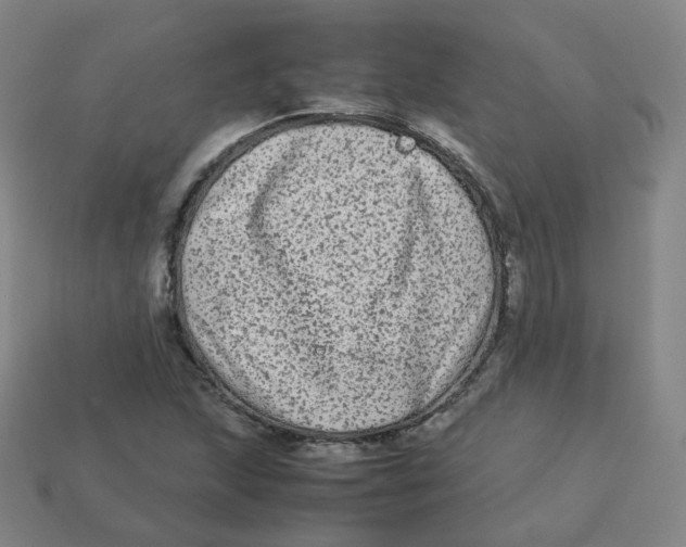 X0000113261215200910081332