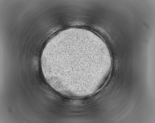 X0000113261217200910081332