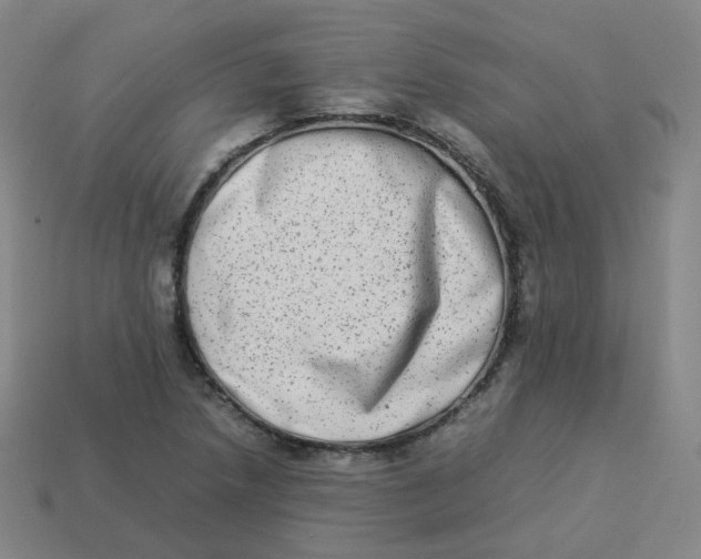 X0000113261218200910081332