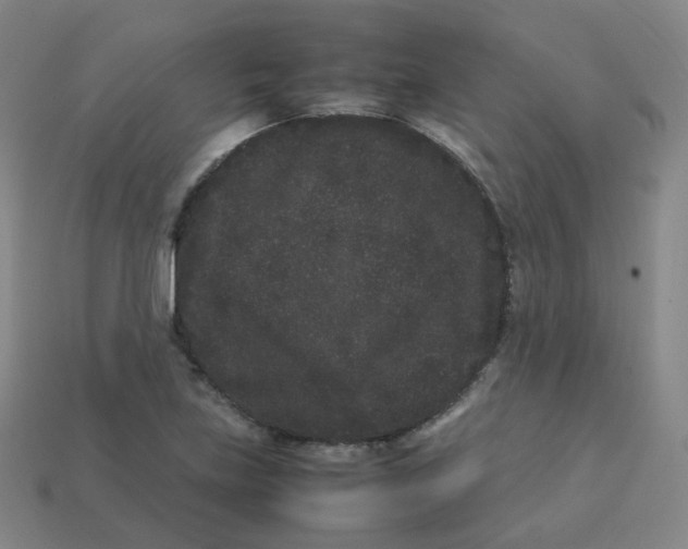X0000113261219200910081332