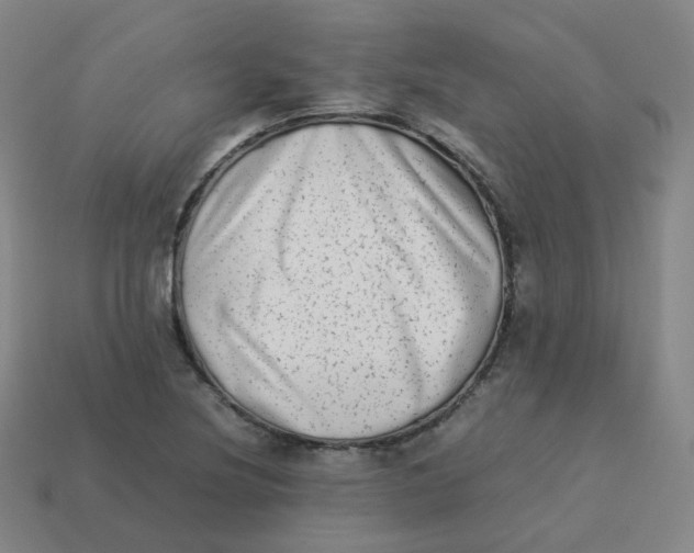 X0000113261220200910081332