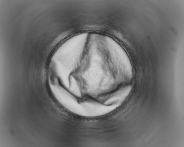 X0000113261221200910081332