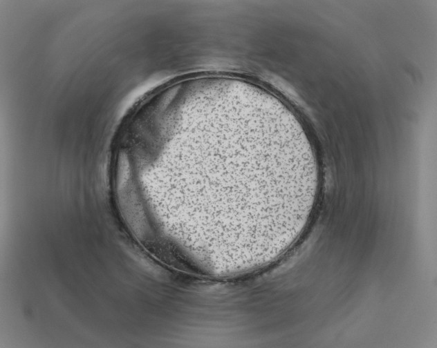 X0000113261222200910081332