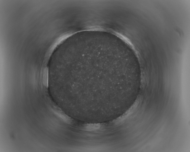 X0000113261223200910081332