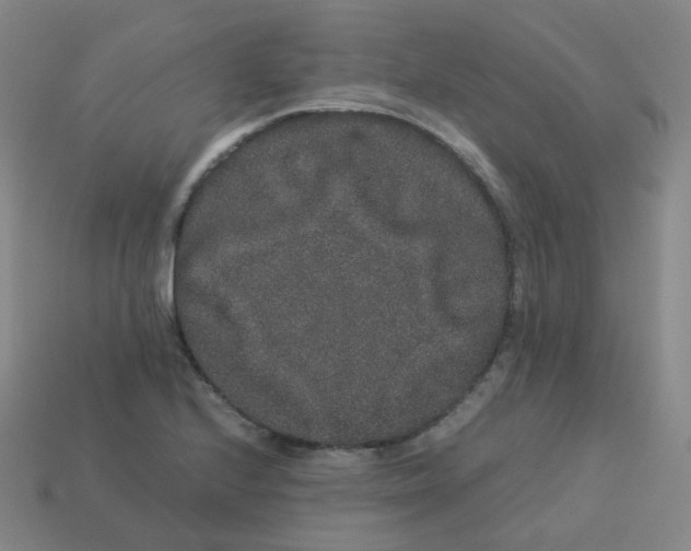 X0000113261224200910081332