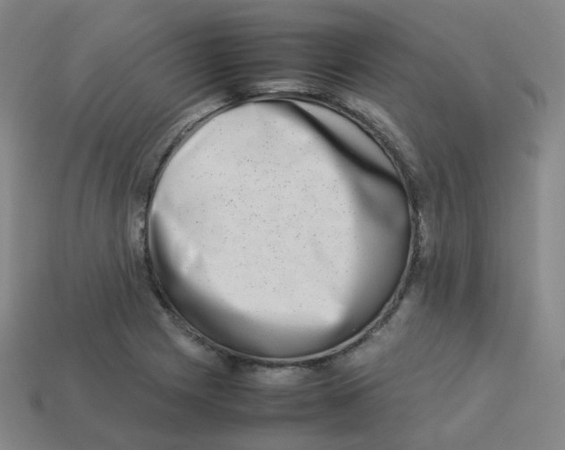 X0000113261225200910081332
