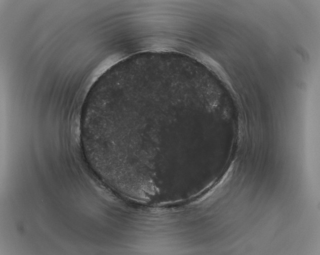 X0000113261226200910081332