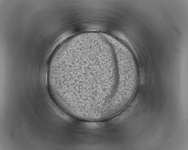 X0000113261227200910081332